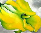 乔治亚 奥基夫 : Yellow Calla